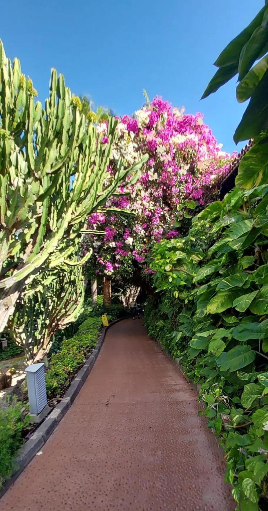 "Cathy'S Home"- Apart Luxury - Adult Only - Large Terrace Private Puerto de Santiago  Extérieur photo